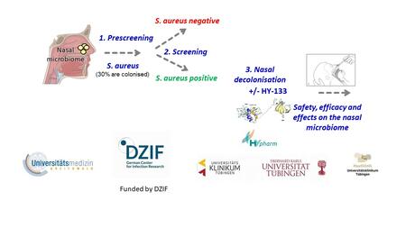 Graphic representation of the course of the Phase Ia study on the safety and efficacy of the active agent HY-133