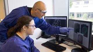 Prof. Michael Schindler and a colleague in blue lab coats look at multi-colored marked cells on a computer screen.